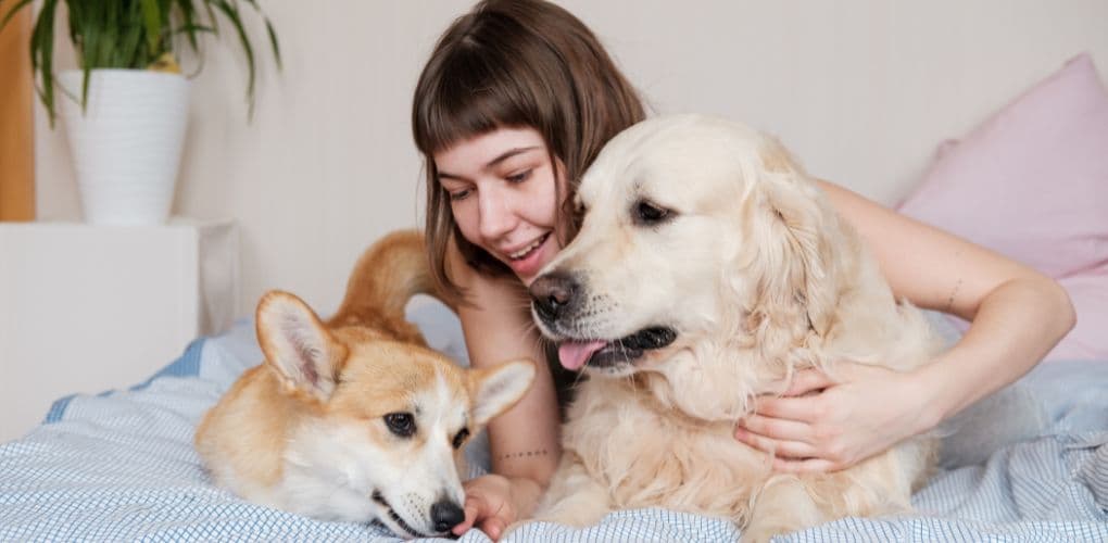 Die überraschenden mentalen Gesundheitsvorteile von Haustierbesitz: Wie Ihr pelziger Freund Ihr Wohlbefinden verbessern kann.