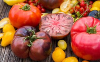 Erkunden von Heirloom-Samen: Erhaltung der Biodiversität in Ihrem Garten