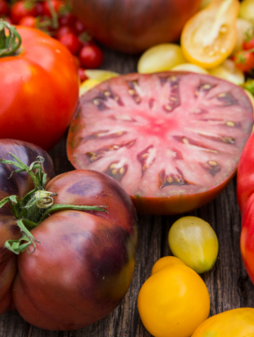 Erkunden von Heirloom-Samen: Erhaltung der Biodiversität in Ihrem Garten